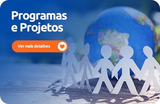 Programas e Projetos