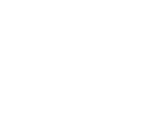 Logo Footer